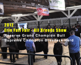 All Breeds show - Erin Fall Fair - Reserve Grand Champion Bull and Supreme Champion Breeders Herd